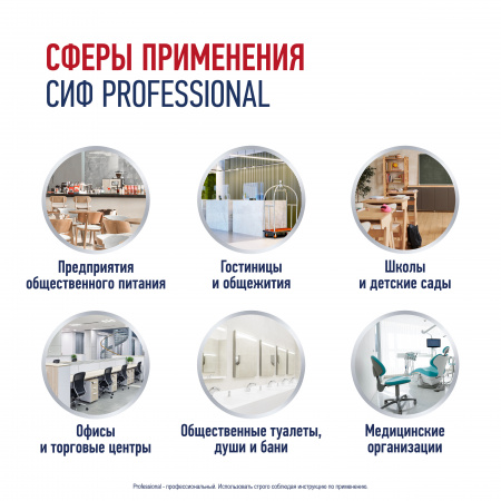 СИФ PROFESSIONAL РЕМУВ-1 ДЛЯ УДАЛЕНИЯ ПЯТЕН СПРЕЙ 12Х500МЛ